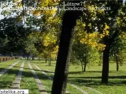 Sites similar to luetzow7.com