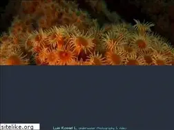 Sites similar to luis-rossel.com