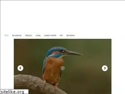 Sites similar to luissanmiguel.com