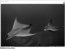 Sites similar to lukasspieker.com