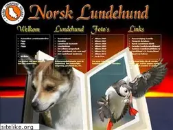 Sites similar to lundehund.nl