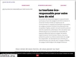 Sites similar to lune-de-miel-asie.fr