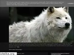 Sites similar to lupalb.blogspot.com