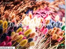 Sites similar to lupanisson.com.br