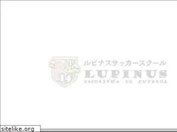 Sites similar to lupinus-soccer.com