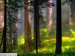 Sites similar to lupovetitalia.com