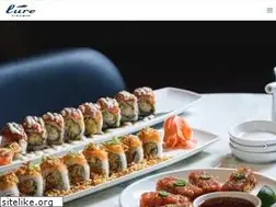 Sites similar to lurefishbar.com