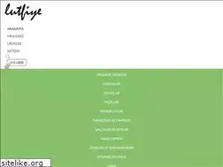 Sites similar to lutfiye.com