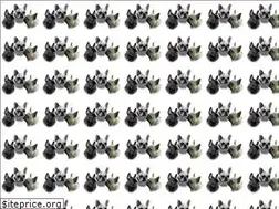 Sites similar to luvforfrenchies.com