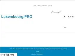 Sites similar to luxembourg.pro