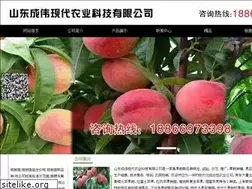 Sites similar to lyftjd.com
