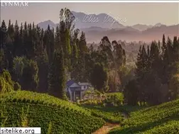 Sites similar to lynmarestate.com