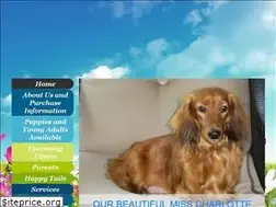 Sites similar to lynnesdoxieheaven.com