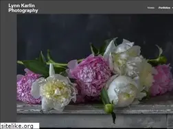 Sites similar to lynnkarlinphoto.com
