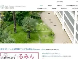 Sites similar to lyremizoguchi.com