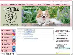 Sites similar to m-kikin.com