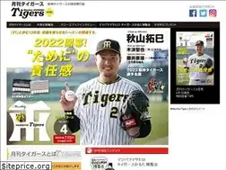 Sites similar to m-tigers.net