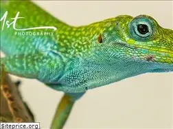 Sites similar to m1stphotography.com
