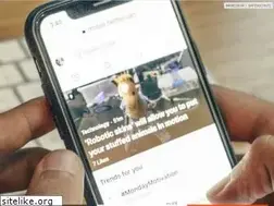 Sites similar to ma-x.de