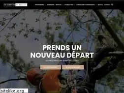 Sites similar to macarrieresedessine.com