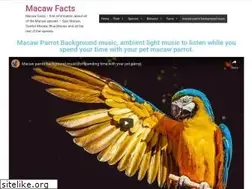 Sites similar to macaw-facts.com