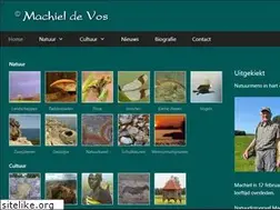 Sites similar to machieldevos.nl