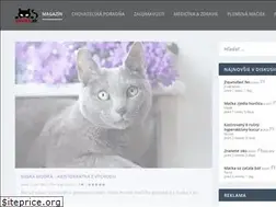Sites similar to macka.sk