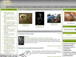 Sites similar to macroclub.ru
