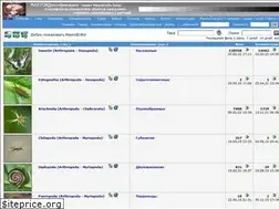 Sites similar to macroid.ru