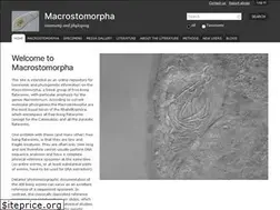 Sites similar to macrostomorpha.info