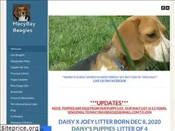 Sites similar to macybaybeagles.weebly.com