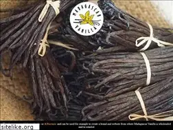 Sites similar to madagascarvanilla.com