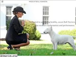 Sites similar to madcapbullterriers.com