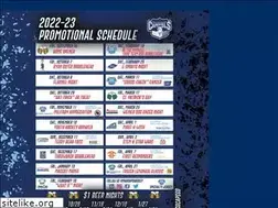 Sites similar to madcapshockey.com