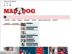Sites similar to maddog.news