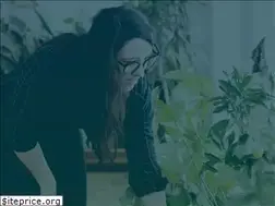 Sites similar to madelainecorke.com