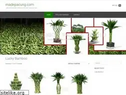 Sites similar to madepacung.com
