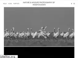 Sites similar to madhusudanhari.com