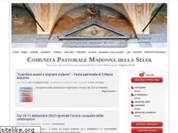 Sites similar to madonnadellaselva.net
