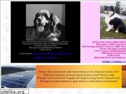 Sites similar to mador.hu