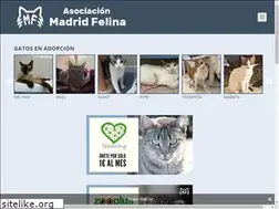 Sites similar to madridfelina.com