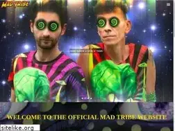 Sites similar to madtribe.space