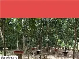Sites similar to madukelulutft.com