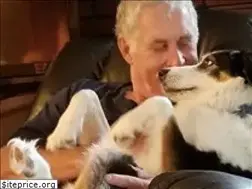 Sites similar to maduncledave.com