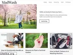 Sites similar to madwash.com