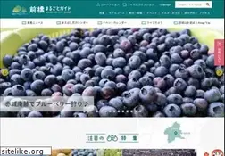 Sites similar to maebashi-cvb.com