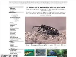 Sites similar to maerkische-naturfotos.de