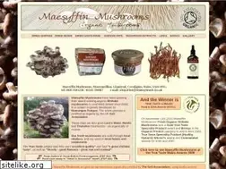 Sites similar to maesymush.co.uk