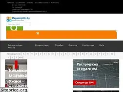 Sites similar to magazinplitki.by