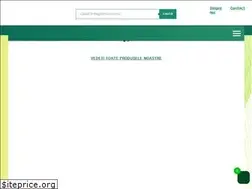 Sites similar to magazinul-dvs.com
